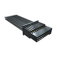 Samtec SFSD-20-28-G-12.00-DL-NDS ສາຍສອງແຖວສ່ວນແຍກ .050" Tiger Eye(TM) ການປະກອບສາຍສອງແຖວສ່ວນແຍກ