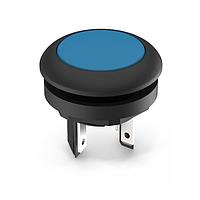 RAFI 1.15.210.101/2601 ປຸ່ມກົດຊົ່ວຄາວ LUMOTAST 16 Ill. ປອດແລ້ວ