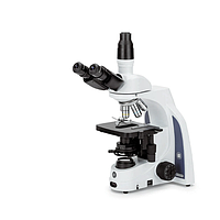 Euromex IS.1153-EPL iScope ກ້ອງຈຸລະທັດສາມຫລ່ຽມ (EWF 10x/20 mm, 4/10/S40/ S100x)