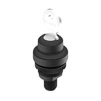 RAFI 1.10.051.233/0001 ສະຫນັບສະຫນູນ Keylock RAMO 22 K M12 1x90L lat 1NC+1NO potfree