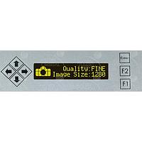 Matrix Orbital BLK202A-S-USB-IY ຊອງເພີ່ມ PC Bay, ຕົວອັກສອນ LCD 20x2 ຂໍ້ຄວາມສີເຫຼືອງ ຂໍ້ຄວາມສີດຳ ປຸ່ມ B/G ມີຂາຍສີເງິນ