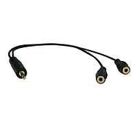 Tripp Lite P313-001 ສາຍຕໍ່ Adapter Cable 3.5mm MINI M/2X F Y SPLITTER - 1'