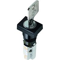 RAFI 1.15.108.632/0100 ສະຫນັບສະຫນູນ Keylock LUMOTAST 75 IP40 ສະຫນັບສະຫນູນ Keylock 90