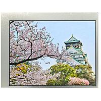 KYOCERA Display TCG057VGLCCANN-GN00 ຈໍ TFT LCD 5.7", VGA 40Kh LEDlife