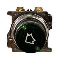 Eaton 10250T5971FG ຕົວແປ ILLUM SEL SW 2P GRN LEVER 120V XFMR TYPE