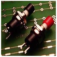 E-Switch PS1024ANOCAP ສະຫຼຸບສະຫຼຸບມາດຕະຖານ 3A 125VAC ປິດ-(ເປີດ) ບໍ່ມີຝາປົກ