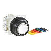 SCHNEIDER 9001SKR1UH5 ກັບກັນ Guard PSH BTTN 600VAC 10A 30MM SK