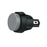 Marquardt Switches Inc 5000.0103 ປຸ່ມກົດສະລັບ PUSHBUTTON SPNO