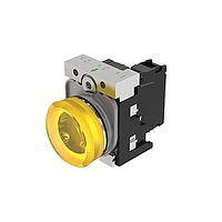 EAO 45-1T00.20G8.000.100 ອິນດິເຄເຕີ (45-1T00.20G8.000.100)