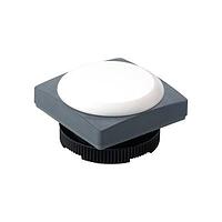 RAFI 1.74.508.051/2500 ອຸປະກອນສະແດງຜົນ Solid State Indicator RAFIX 22 FS Plus Indicator Green