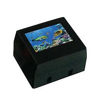 Well Buying PS003-N11AKT-1 ປຸ່ມກົດສະຫນອງ