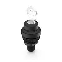 ສະຫຼອງກຸບລົດກະແນກ