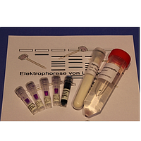 PHYWE KLA-530-110 Kit Agarose Gel Electrophoresis ຂອງ Lambda DNA