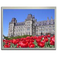 KYOCERA Display T-55787GD104J-LW-AHN Transmissive 10.4SVGA ສີ TFT 1000nitsAWV,CCC,LVDS