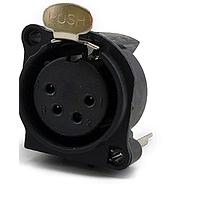 Io Audio Technologies IO-XLR4-F-EV ຕົວເຊື່ອມຕໍ່ 4-Pin XLR Chassis Connector, ຜູ້ຍິງ, ຕັ້ງຕົ້ນ, ຕິດບົດ PCB, ຂາຍດິນແຍກຕ່າງ