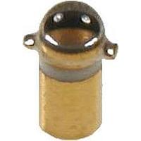 ຟອຕໂຕຣັນຊິສຕເວີ