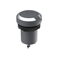 RAFI 1.10.099.201/0078 ປຸ່ມກົດສະຫນອງ RAMO 22 F RJ45 A-A chrome