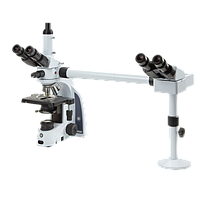 Meiji Techno MT-61/TH-2SS ເຄື່ອງມອງຂະໜາດສອງຫົວ ມີສາຍຕາສາມຫົວ ສໍາລັບຊີວະວິທະຍາ ປະເພດຕຽງຕົວຢ່າງສະແດງແສງສະຫວ່າງ (4X, 10X, 40X, 100X oil)