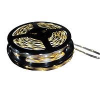 Inspired LED 12V-NB-CW-12M ບາແບຣແລະສະຕຣິບແສງສວ່າງ LED ສີຂາວ 6000K, 12 ໂວລ໌ ສະຫຼຸບສະຫຼຸບ 12M