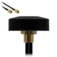 Siretta TANGO43/0.5M/SMAM/SMAM/RP/S/S/17 ເຄື່ອງຮັບສະຫນອງອັດຕະໂນມັດ LTE + WIFI ລວມກັນ ສາຍສັນຍານ BOLT THRU 0.5M ສາຍ SMA ຜູ້ຊາຍ RP ການເຊື່ອມ (WIFI) SMA ຜູ້ຊາຍ ການເຊື່ອມ (LTE)