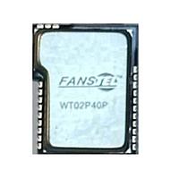 Fanstel WT02P40P ມູດູນ WiFi