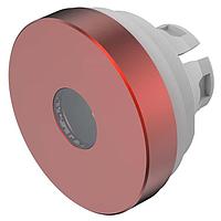 EAO 84-7211.200 ເລນ 22.5mm LEGEND PLATE