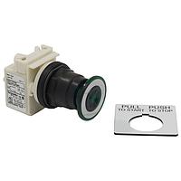 Square D 9001SKR8P1G ປຸ່ມກົດສະຫນອງ Pushbutton Switches PSH BTTN 120VAC 30MM SK