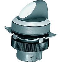 RAFI 1.30.242.801/0208 ສະລັອກເລືອກສະວິດທີ່ມີການຫຼັກສົດກົງ, ມີດອກຈັກສັ້ນ