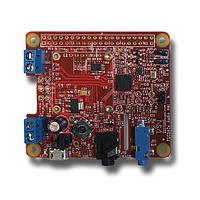 Tempo Semiconductor TSI42A2-RPIHAT-A ບອດ Audio Codec TSCS42xx Raspberry Pi HAT