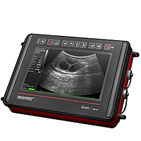 DRAMINSKI iScan2 MULTI ເຄື່ອງສະແກນ Ultrasound (w/o probes)