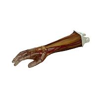 True Phantom Solutions AR-A02 ຂ້າວຜູ້ໃຫຍ່ (ຊັບຊ້ອນ) ສໍາລັບ X-Ray CT, US, MRI