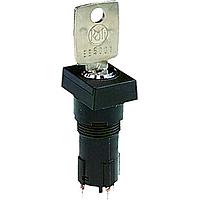RAFI 1.10.118.513/0000 ສະຫນອງກຸບກະລຸນາ Keylock switch 2x90