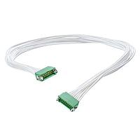 Harwin G125-MC11205L4-0300M ການປະກອບສາຍສະເພາະສະເລີຍ 1.25MM M/M CA 2X6 300MM 26AWG