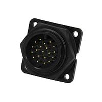 CONXALL 14281-20PG-300 ຕົວເຊື່ອມ MAXI-CON PANEL #20 PC TAILS