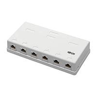 Tripp Lite N236-006-WH 6PT CAT6 ກະຕ່າພື້ນ, ສີຂາວ