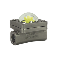 Senseca RM-025GR ຕົວຊີ້ວັດການໄຫຼ (DN 25 - G 1, 60 l/min)