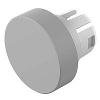 EAO 51-931.8 ຕົວຊີ້ວັດຕິດຕັ້ງບົດ Panel / ຕົວຊີ້ວັດສະຫນັບສະຫນູນ Switch LPB MNT RND 1N.C LL