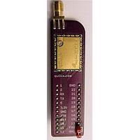 Low Power Radio Solutions (LPRS) eRIC4-BOB ບອດແບຣຄເອດ UK/Euro BoB 433MHz 12x2 DIL 67x20x5mm