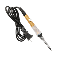 CXG Tools WP-60W ເຫຼັກເຊື່ອມໄຟຟ້າປະເພດປຸ່ມ (60W, 250–500°C)