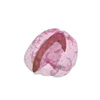 True Phantom Solutions FX-A01 Falx Cerebri