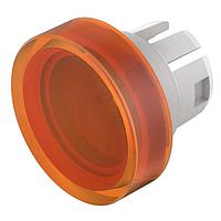 EAO 51-933.3 ຕົວຊີ້ວັດຕະຫຼອດຕູ້ຄວບຄຸມ / ຕົວຊີ້ວັດສະຫນັບສະຫນູນສະກິນ LENS REC FLT SUP CLR