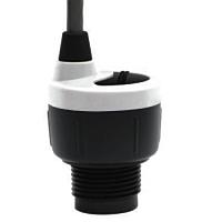 Flowline DL10 - 10 ຕົວສົ່ງລະດັບນ້ຳ (49.2” (1.25m) , w/out Fob, 1” G)