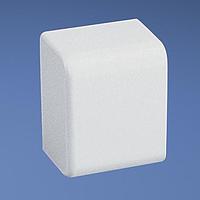 Panduit ECFX10IG-X ກະຕ່າຍຕິດຕັ້ງພື້ນ Surface Mount Box LDPH10/LD2P10 PWR Rated End Cap Fitt