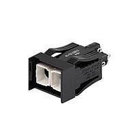 EAO 41-262-0252 ປຸ່ມກົດສະຫນອງມາດຕະຖານ PUSH BUTTON SWTICH