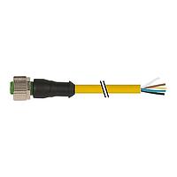 Murrelektronik 7000-12241-0150500 ຕົວເຊື່ອມ M12 ຍິງ 0 ມີສາຍສັຍ, PVC 5x0.34 ເຫຼືອງ UL/CSA 5m