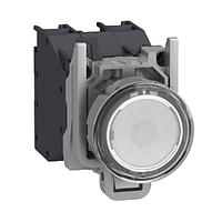 SCHNEIDER XB4BP183BM5GEX ປຸ່ມກົດປະຕິບັດງານ Flush HAZ LOC, 24-240 Vac/dc, ຕິດຕໍ່ 2 N.O., ສີຂາວ, -40 +70 , IP66