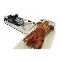 True Phantom Solutions TO-A03 ລ້ອງກາງຜູ້ໃຫຍ່ (ຫຼັກຫຼັງຫຼັກຫຼັງ) ສໍາລັບ X-Ray CT, MRI