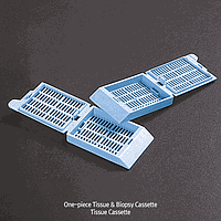 SciLab SL.Cas3007 ກະເປົາກວດຊັກຊິ້ນ, ກວດຊັກຊິ້ນ, ມີຝາປະກອບເປັນຊິ້ນດຽວ, ສີຟ້າ