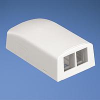 Panduit NK2BXAW-A ກ່ອງ NK 2Port Surface MNT Box, Arctic Whit
