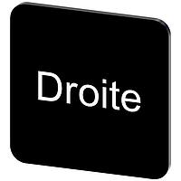 SIEMENS 3SU19000AF160GG0 ປ້າຍປ້າຍຊື່, Droite INSCR. LABEL, ສີດຳ 22 X 22MM, DROITE